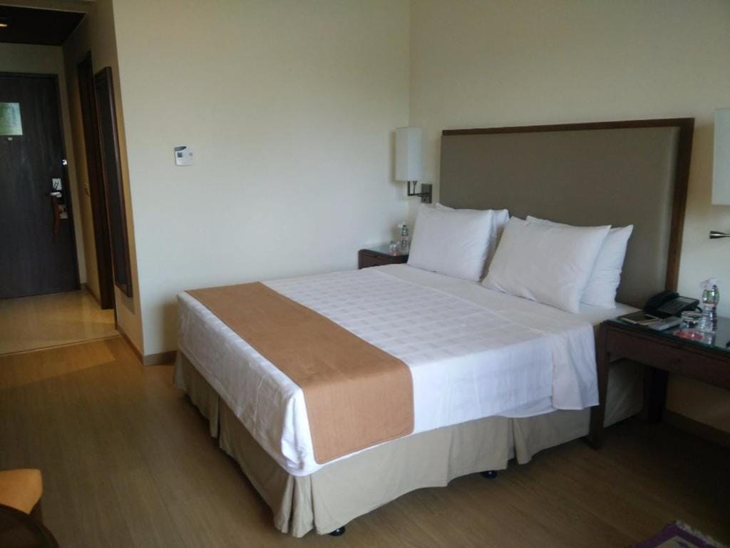 Trident Agra — 5