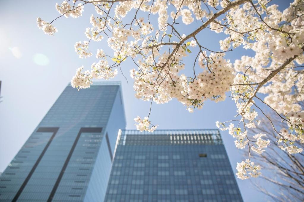 The Okura Tokyo — 4